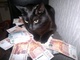 Rogov Denis's avatar